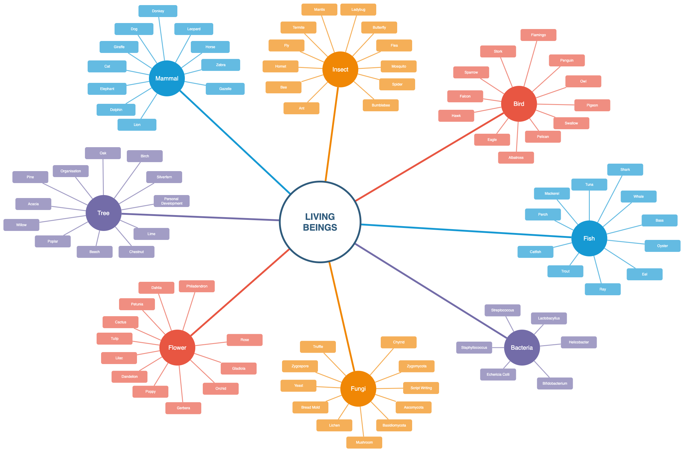 生物的思维导图 - diagrams.net 中的模板